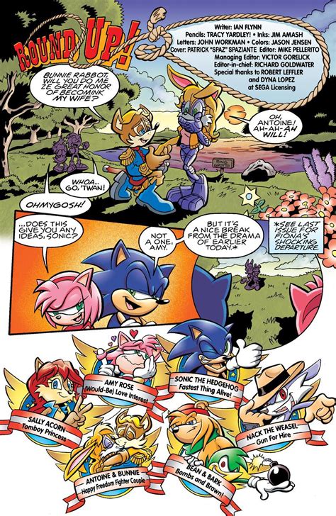The Sonic Phenomenon: How Speedy Hedgehog Mascots Transcend Generations